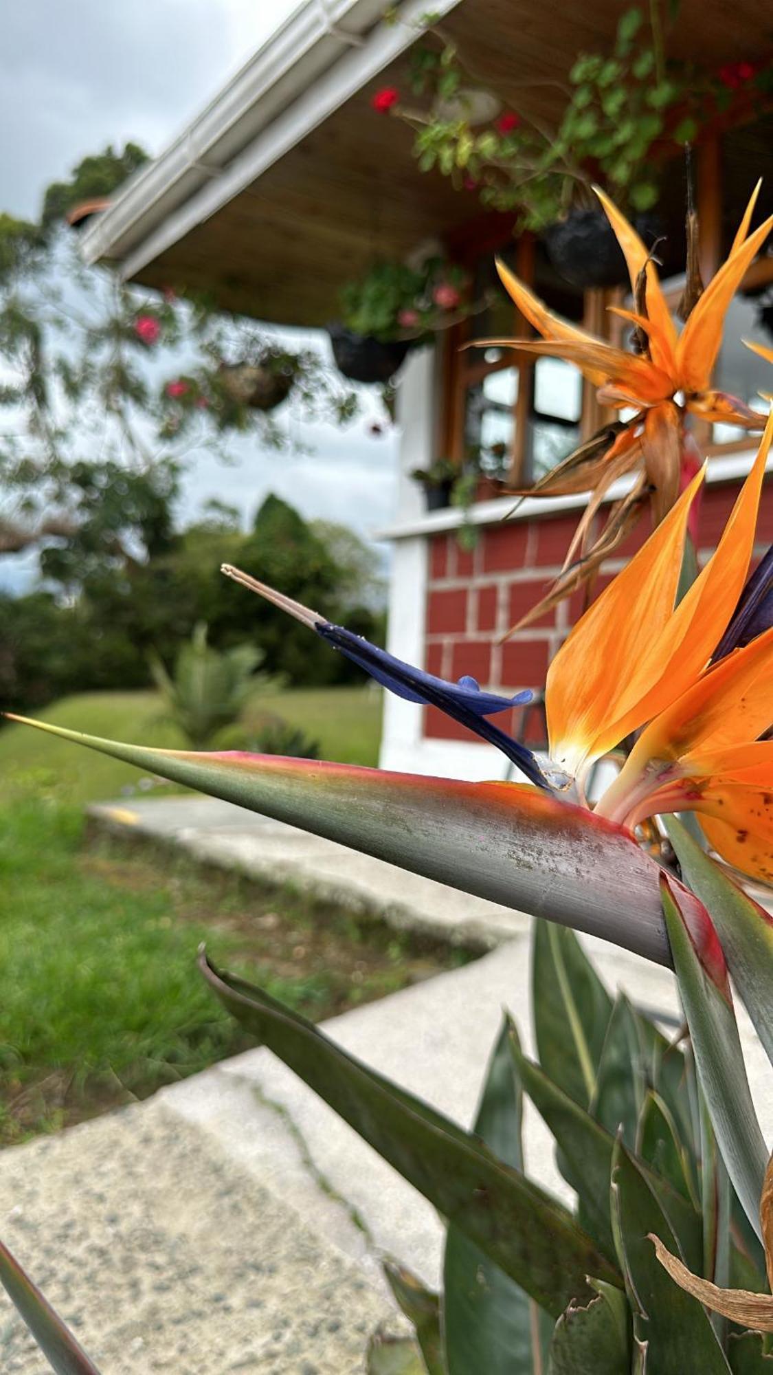 Finca La Toscana El Manzano  Ngoại thất bức ảnh
